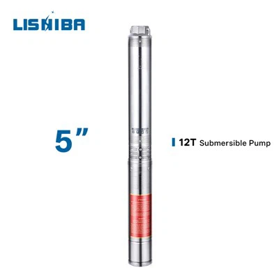 300 ft Deep Well Pump
